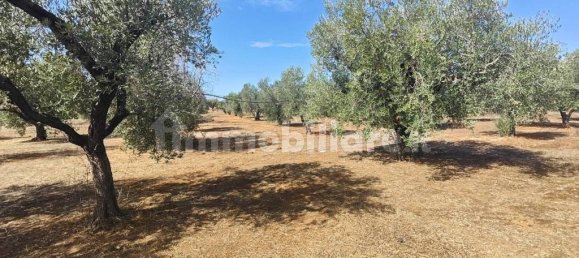 Grundstück in Ugento, Italy 10750m², Nr. 357505 13