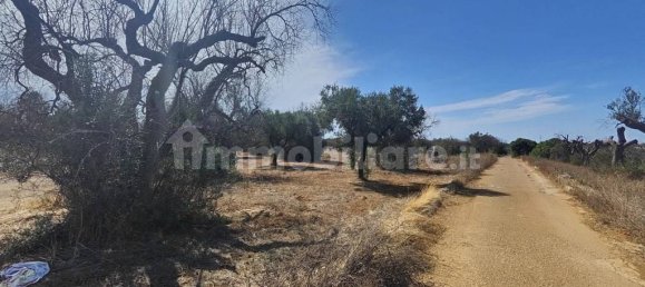 Grundstück in Ugento, Italy 10750m², Nr. 357505 7