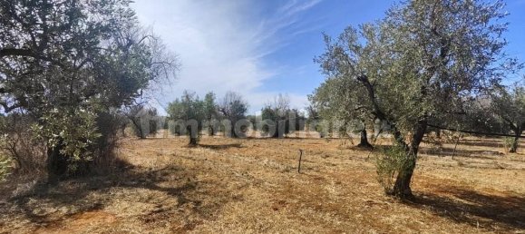 Grundstück in Ugento, Italy 10750m², Nr. 357505 19