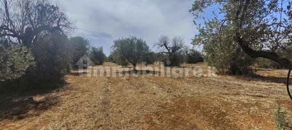 Grundstück in Ugento, Italy 10750m², Nr. 357505 16