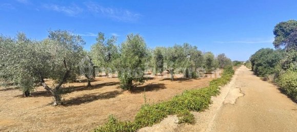 Grundstück in Ugento, Italy 10750m², Nr. 357505 8