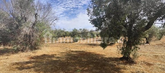 Grundstück in Ugento, Italy 10750m², Nr. 357505 18