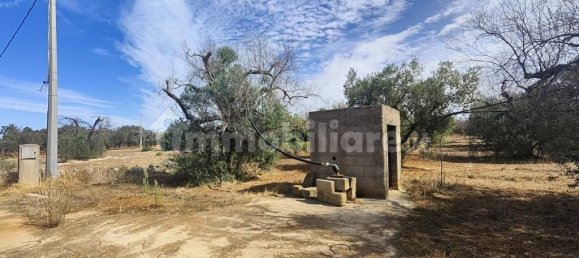 Grundstück in Ugento, Italy 10750m², Nr. 357505 9