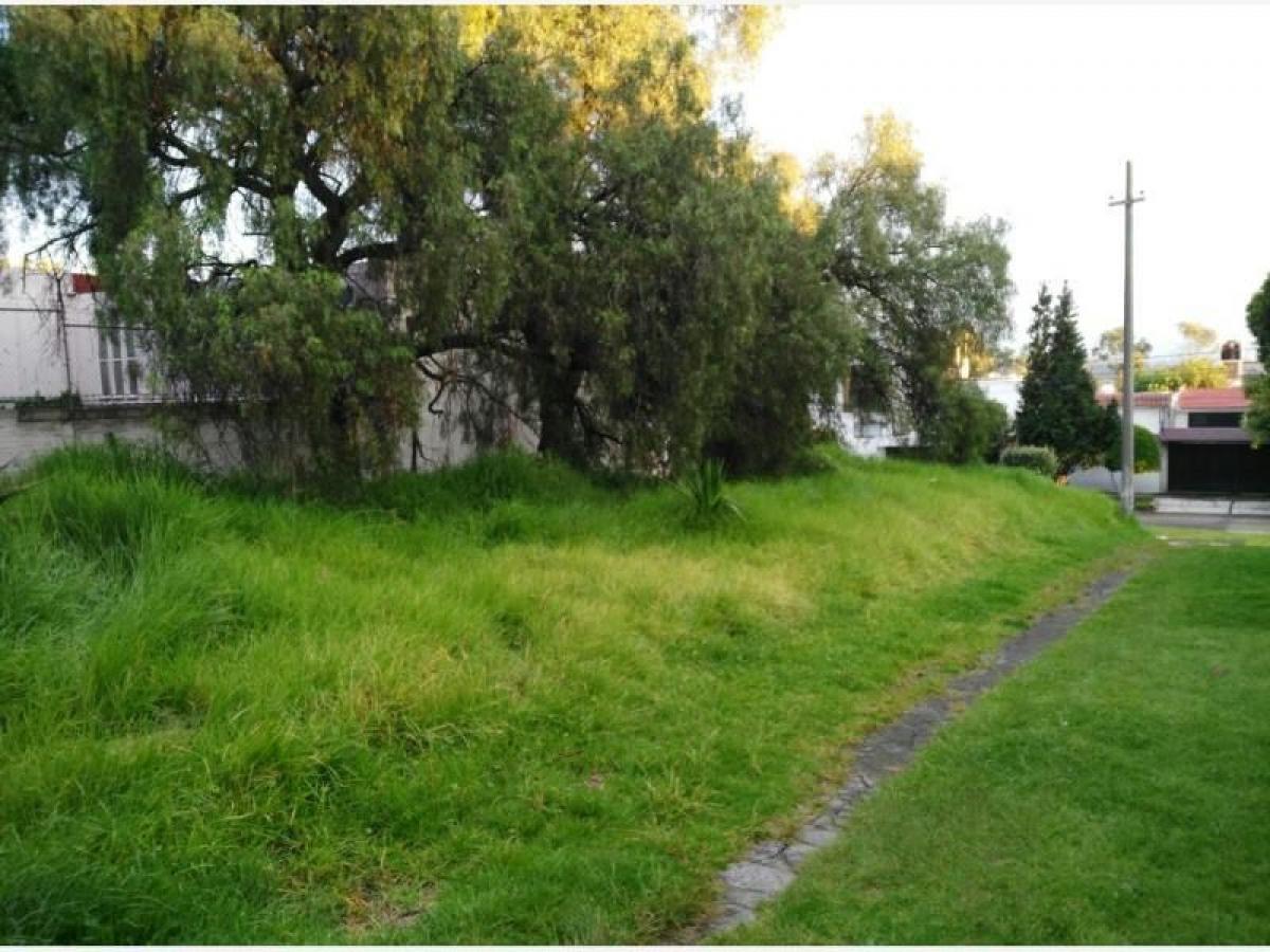 Grundstück in Naucalpan de Juarez, Mexico, Nr. 202953