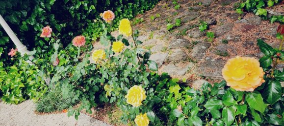 5 bedrooms House in Guadalix de la Sierra, Spain No. 189062 26