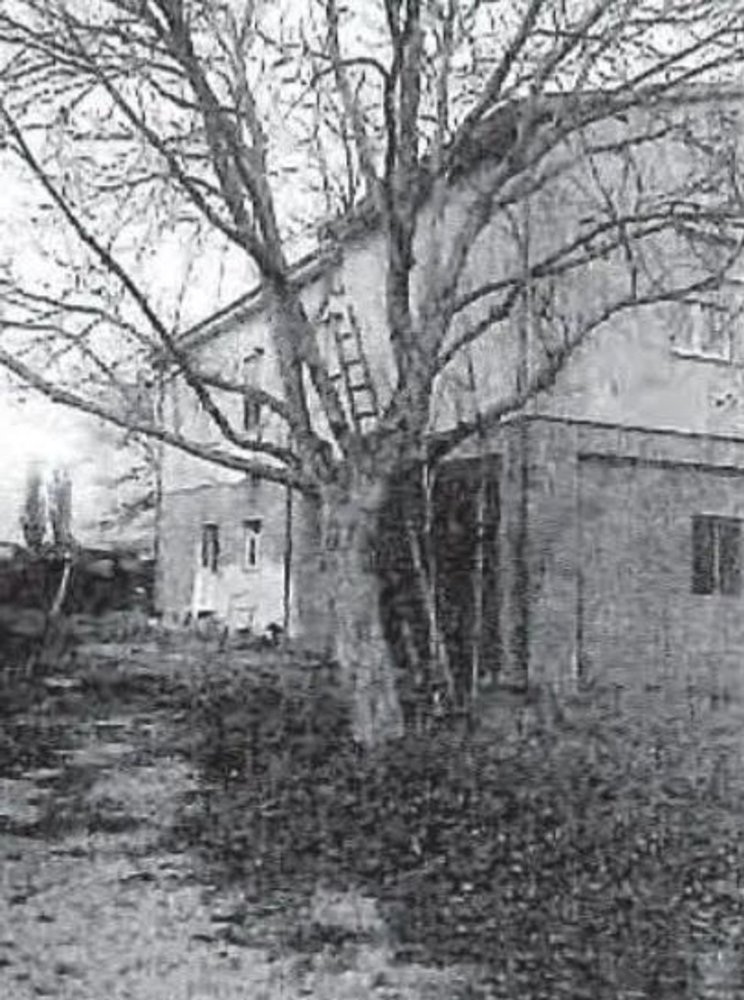 6 rooms Apartment in Foligno, Italy No. 38996