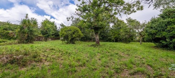 1 bedroom House in Guimaraes, Portugal No. 62510 37