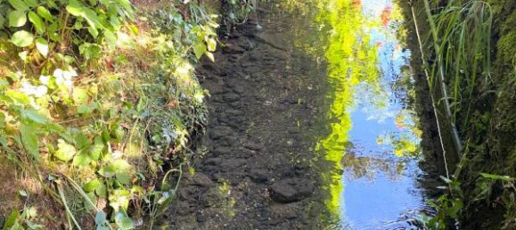 4 bedrooms House in Sarlat-la-Caneda, France No. 296846 8