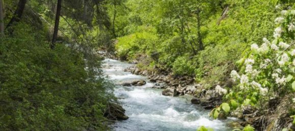 Casa de 4 habitaciónes en Tyrol, Austria No. 139269 12