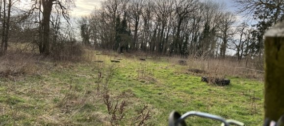 6غرفة قلاع في Brandenburg, Germany رقم 64870 23