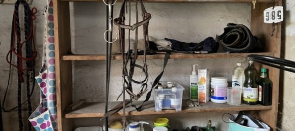 6غرفة قلاع في Brandenburg, Germany رقم 64870 13