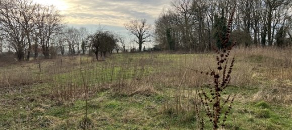 6غرفة قلاع في Brandenburg, Germany رقم 64870 22