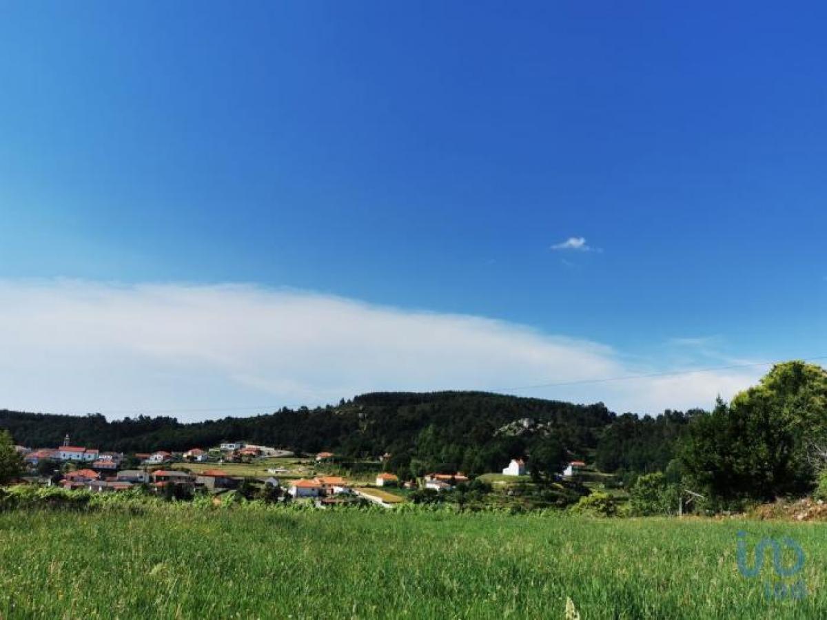  قطعة أرض في Paredes de Coura, Portugal رقم 8938