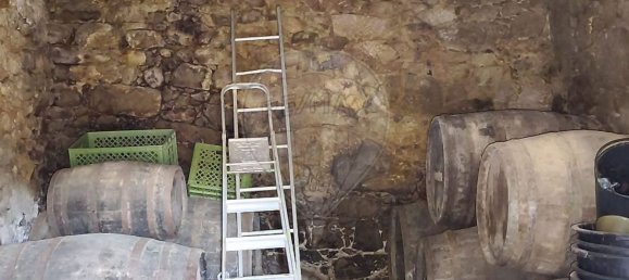 3 bedrooms House in Valenca, Portugal No. 175299 5