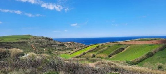 3187m² Land in Mafra, Portugal No. 147702 14