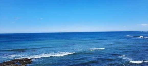 3187m² Land in Mafra, Portugal No. 147702 10