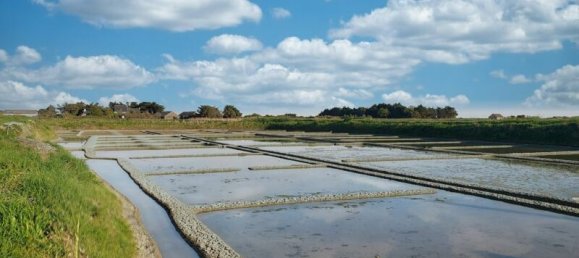 Terreno en La Turballe, France No. 303579 6
