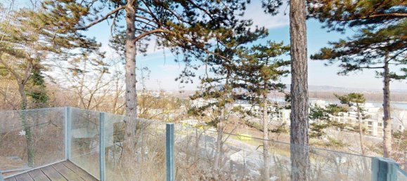 5غرفة منزل في Dobling, Austria رقم 232453 28