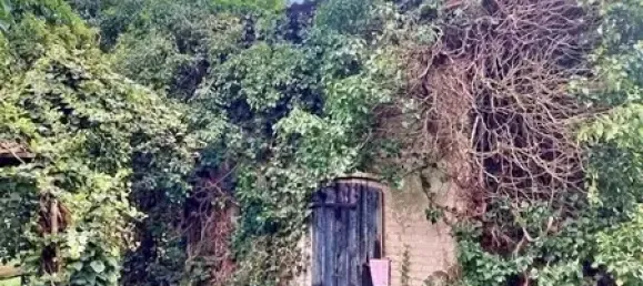 5 rooms House in Jerichower Land, Germany No. 171722 5