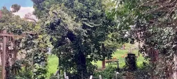 5 rooms House in Jerichower Land, Germany No. 171722 6