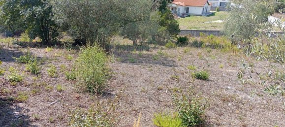 Grundstück in Maceira, Portugal 2719m², Nr. 82209 4