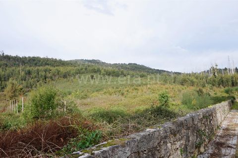  قطعة أرض في Barcelos, Portugal رقم 202229