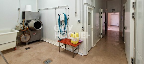 567m² Commercial property in Ucciani, France No. 256534 3