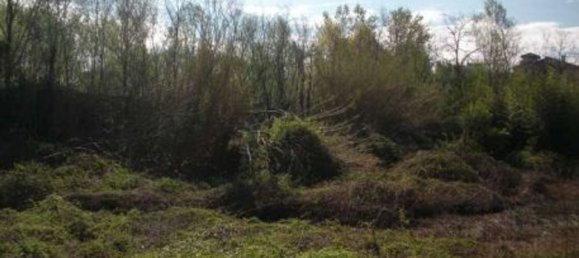 Grundstück in Abbiategrasso, Italy 25299m², Nr. 102051 5