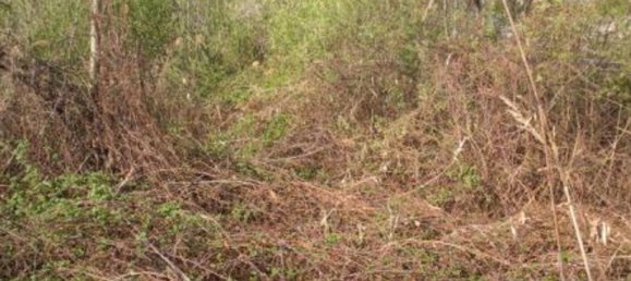 Grundstück in Abbiategrasso, Italy 25299m², Nr. 102051 7