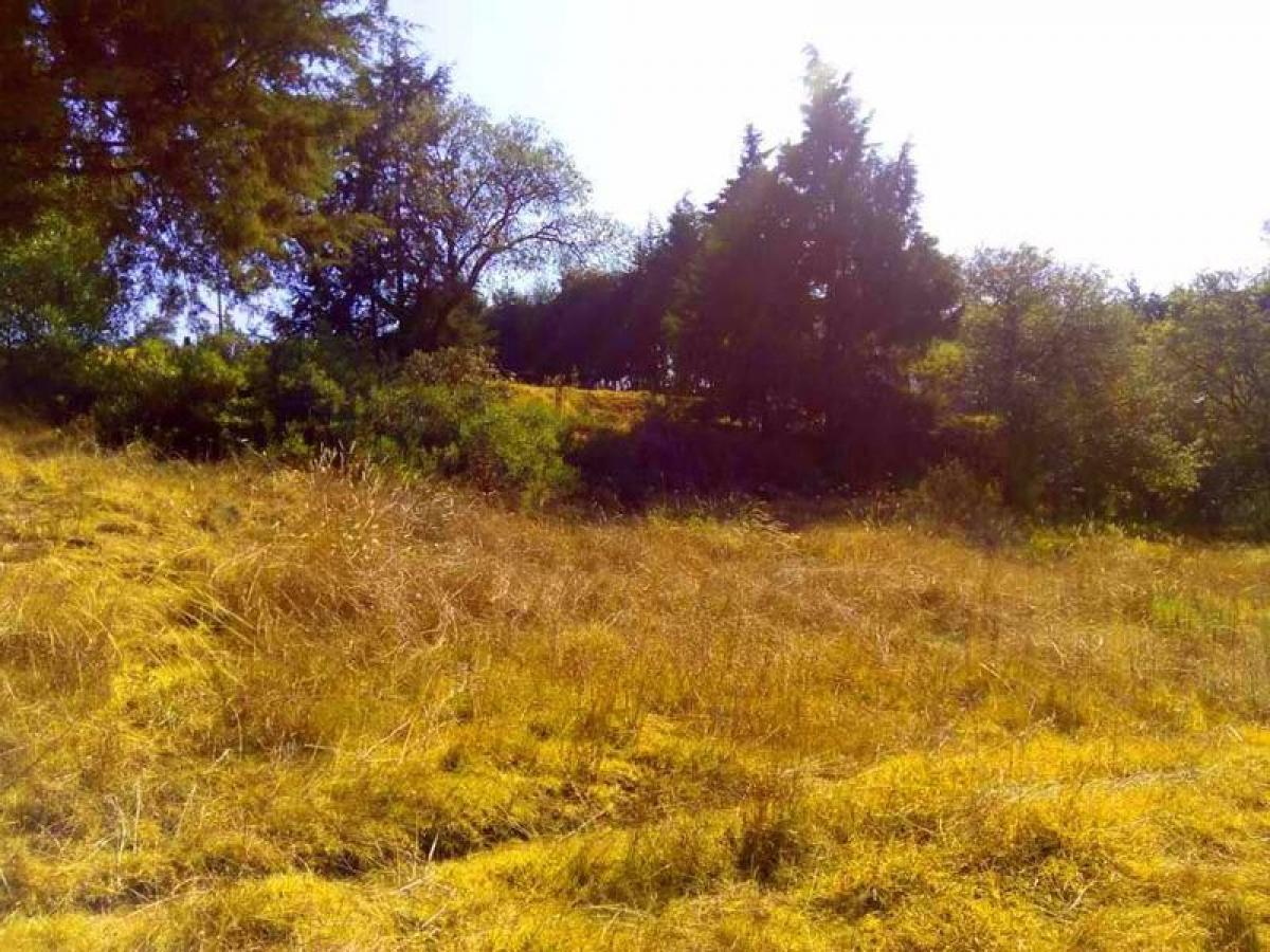 Grundstück in Villa del Carbon, Mexico, Nr. 204781