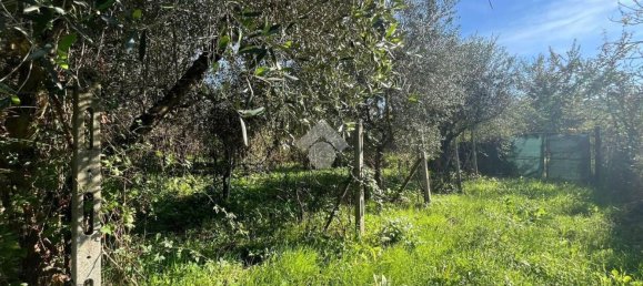 1600m² Land in Monterotondo, Italy No. 268633 12