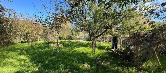 1600m² Land in Monterotondo, Italy No. 268633 14