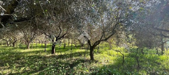 1600m² Land in Monterotondo, Italy No. 268633 6