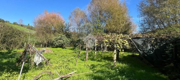 1600m² Land in Monterotondo, Italy No. 268633 4