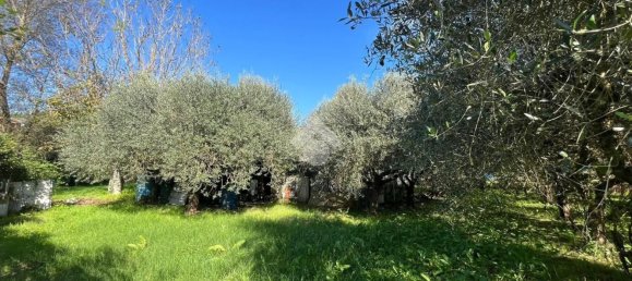 1600m² Land in Monterotondo, Italy No. 268633 13