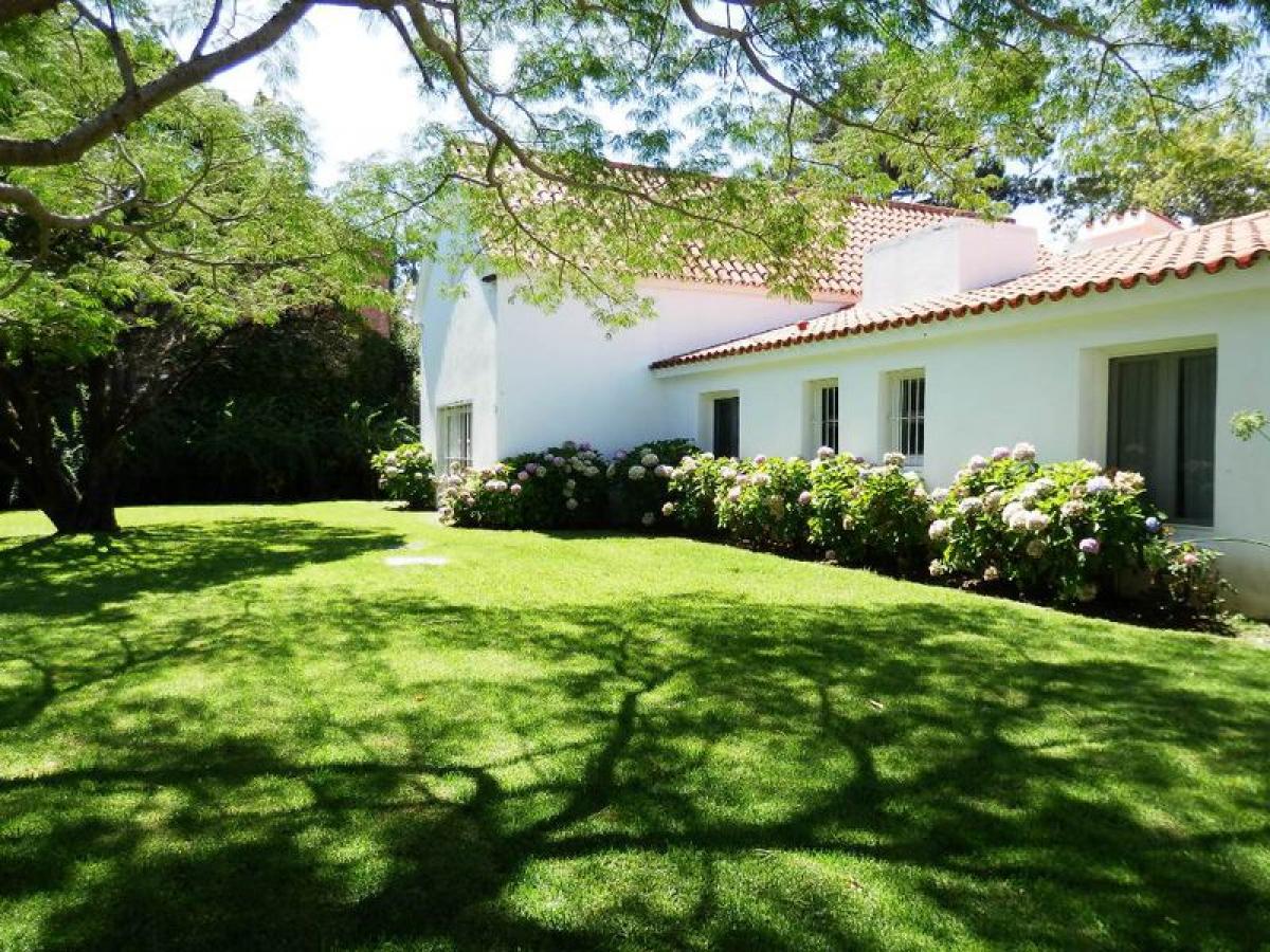 4 bedrooms House in Maldonado, Uruguay No. 3991