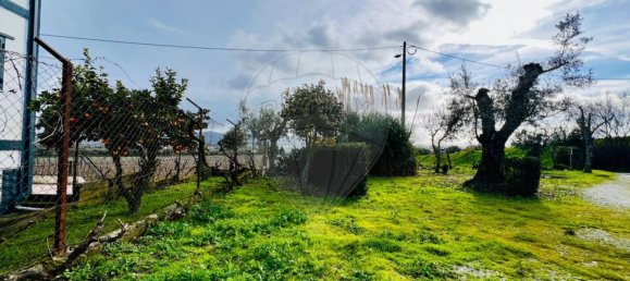 5 bedrooms House in Covilha, Portugal No. 164476 47