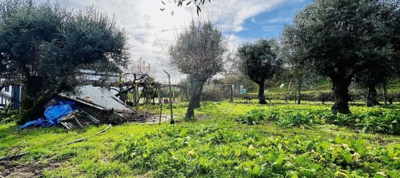 5 bedrooms House in Covilha, Portugal No. 164476 38