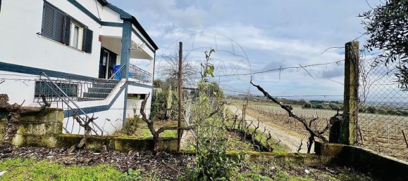 5 bedrooms House in Covilha, Portugal No. 164476 5