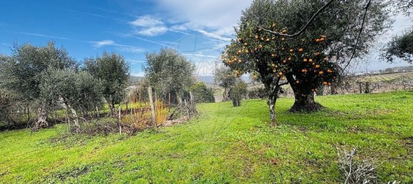 5 bedrooms House in Covilha, Portugal No. 164476 30