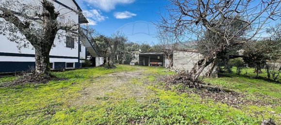 5 bedrooms House in Covilha, Portugal No. 164476 31