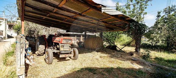 3 غرف نوم منزل في Miranda do Corvo, Portugal رقم 31283 30