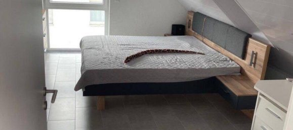 5 غرف نوم منزل ذو طابقين في Rhineland-Palatinate, Germany رقم 360823 13