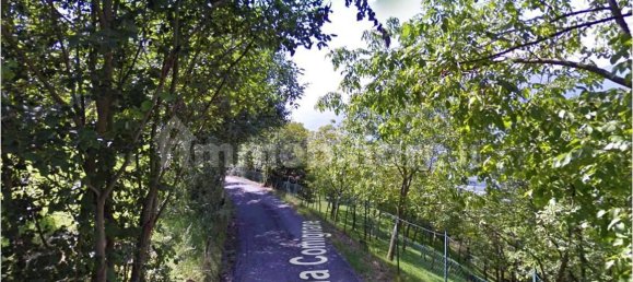 5-Zimmer Gewerbliche Immobilie in Pian Camuno, Italy, Nr. 326203 5