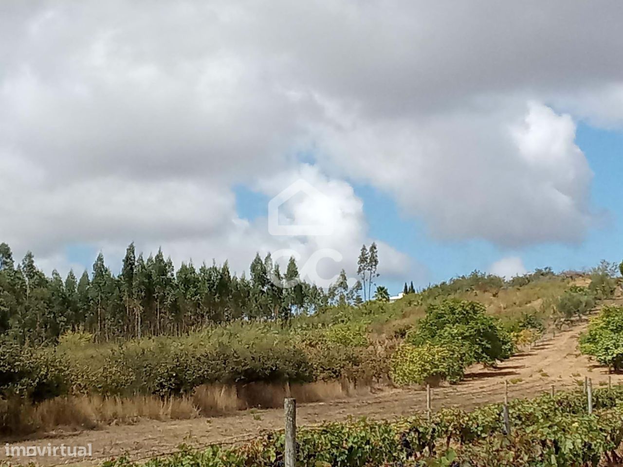 16960m² Land in Bombarral, Portugal No. 306801