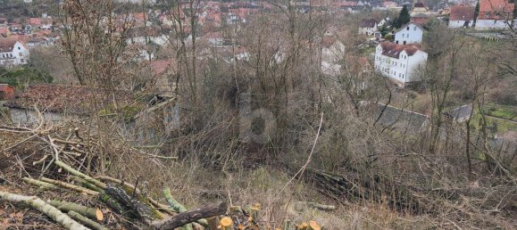  Land in Schmalkalden-Meiningen, Germany No. 157430 4