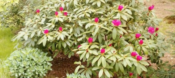 Земельный участок в Cuxhaven, Германия № 276054 9