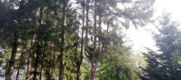 Земельный участок в Cuxhaven, Германия № 276054 2