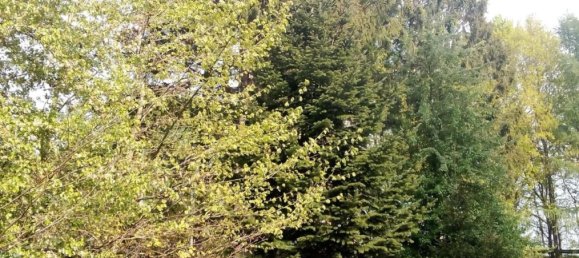 Земельный участок в Cuxhaven, Германия № 276054 7