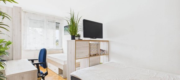 3 bedrooms Apartment in Marchtrenk, Austria No. 245114 7